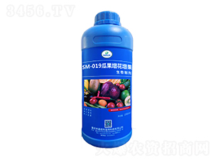 SM-019ϹƄ1000ml-ΰ