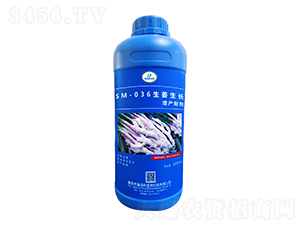 SM-036LaƄ1000ml-ΰ