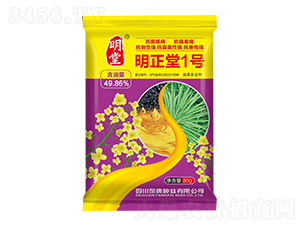 明正堂1號(hào)-邡牌種業(yè)